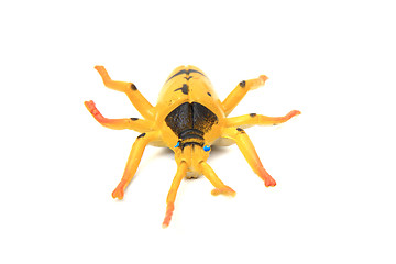 Image showing plastic beetle toy (bug)