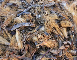 Image showing Spices and herbs on market 