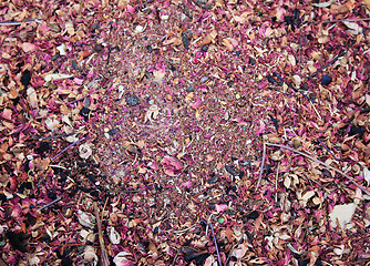 Image showing Spices and herbs on market