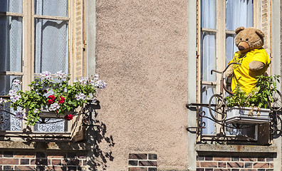 Image showing Tour de France Decoration