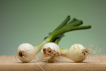 Image showing Onion