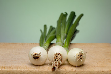 Image showing Onion