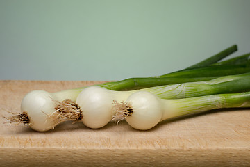 Image showing Onion