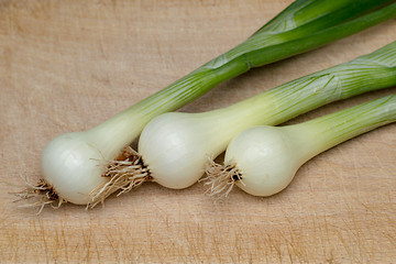 Image showing Onion