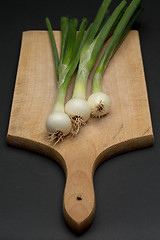 Image showing Onion