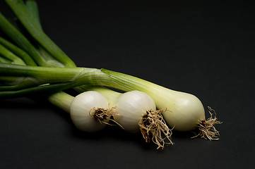 Image showing Onion