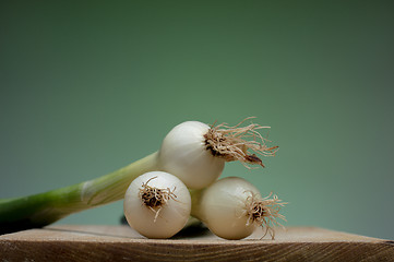 Image showing Onion