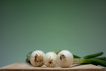 Image showing Onion