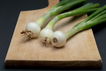 Image showing Onion