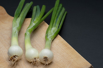 Image showing Onion