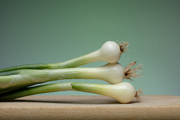 Image showing Onion