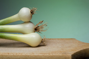 Image showing Onion