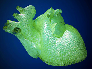 Image showing Artificial human heart