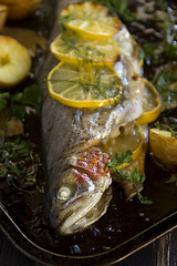 Image showing Baked Rainbow Trout