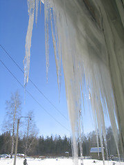 Image showing Winter view out of window