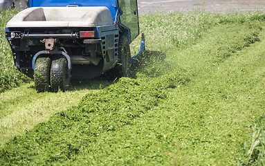 Image showing Cutting grass_1