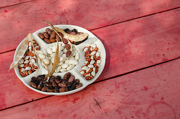 Image showing dried bean of plate with sections on wooden table  