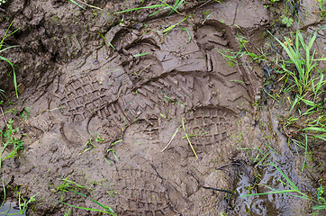 Image showing bright shoes footprints on wet mud 