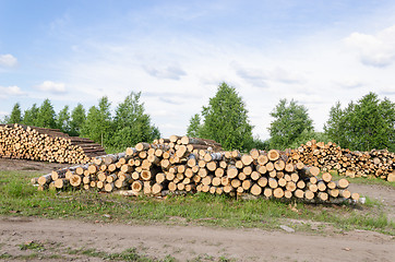 Image showing Wood fell industry. Stack birch and pine tree logs 