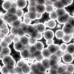 Image showing Bacteria cells close up