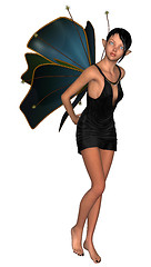 Image showing Fairy Butterfly