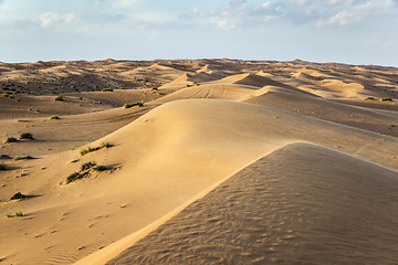 Image showing Desert Wahiba Oman