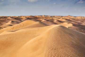 Image showing Desert Wahiba Oman