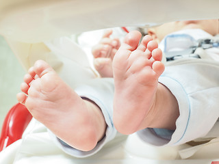 Image showing Baby feet