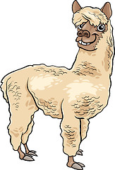 Image showing alpaca animal cartoon illustration