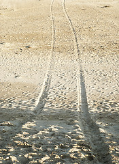 Image showing tyre tracks on the sand