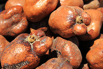 Image showing Spices and herbs on market