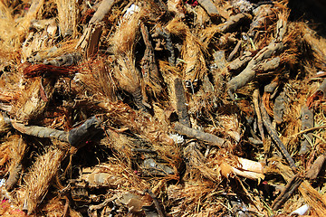 Image showing Spices and herbs on market