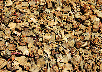 Image showing Spices and herbs on market