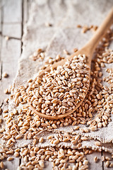 Image showing wheat grain in wooden spoon