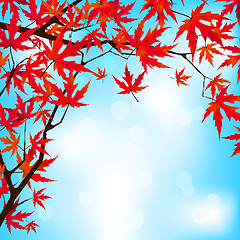 Image showing Red Japanese Maple leaves against blue sky. EPS 8