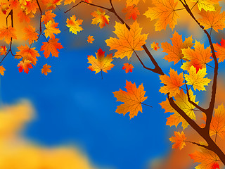 Image showing Red and yellow leaves against blue sky. EPS 8