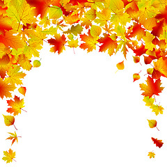 Image showing Autumn background isolated design. EPS 8