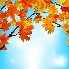 Image showing Red and yellow leaves against bright sky. EPS 8