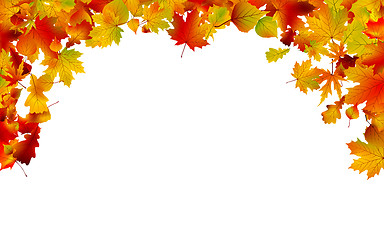 Image showing Autumn colored leaves framing. EPS 8