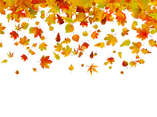 Image showing Background of autumn leaves. EPS 8