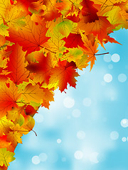 Image showing Autumn leaves on blue sky. EPS 8