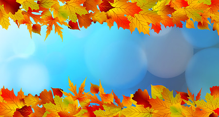 Image showing Red and yellow leaves against a bright blue sky