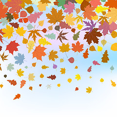 Image showing Beautiful autum leaves against sky. EPS 8