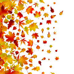 Image showing Autumn leaves, background. EPS 8