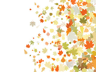 Image showing Atumnall leaves, warm illustration. EPS 8