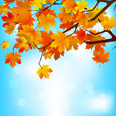 Image showing Red and yellow leaves against bright sky. EPS 8