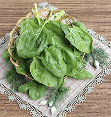 Image showing Spinach leaves