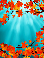 Image showing Red and yellow leaves against a blue sky. EPS 8