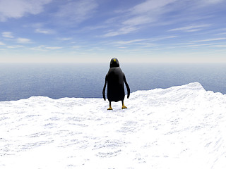 Image showing Lonely penguin