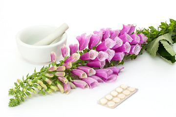 Image showing Digitalis with cardiac pills